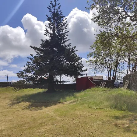 Quinta Do Falcao * Almagreira (Santa Maria)