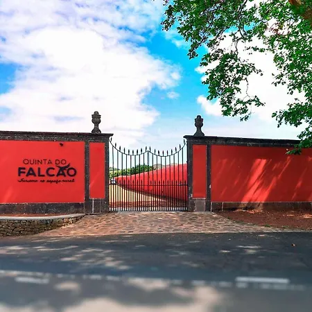 Quinta Do Falcão * Almagreira (Santa Maria)