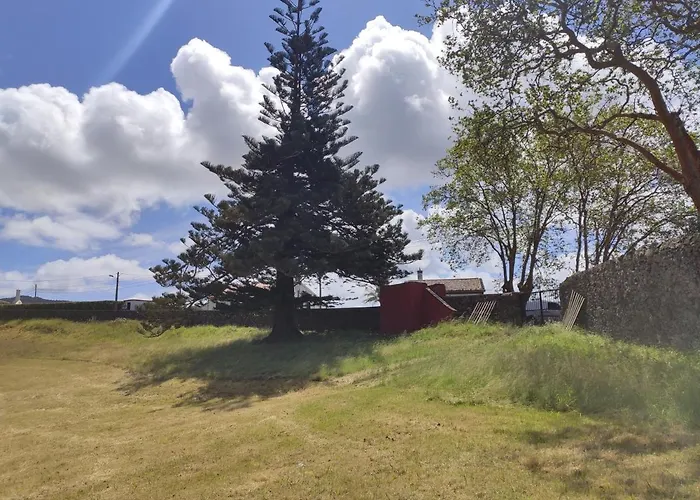 Quinta Do Falcao * Almagreira (Santa Maria)